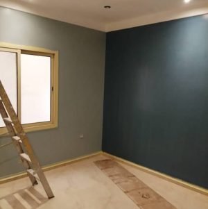 دهانات داخلية في الرياض